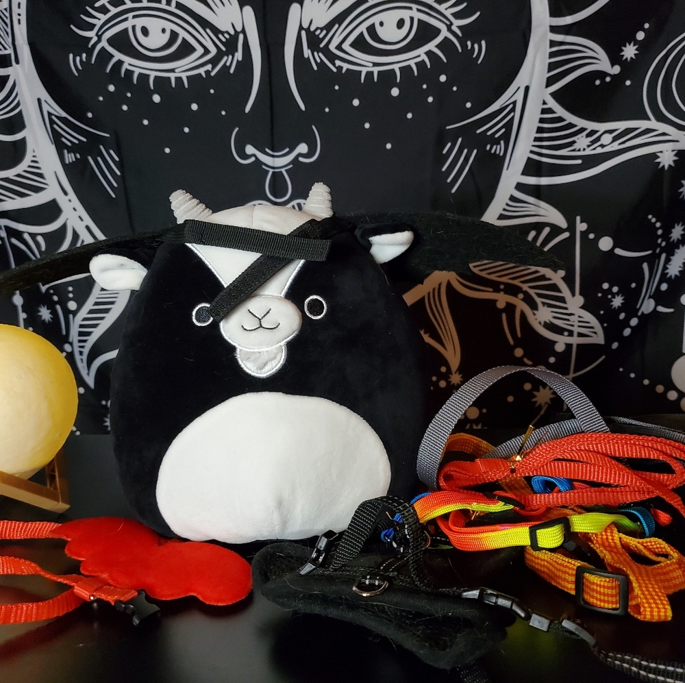 Small Pet Harness Bundle